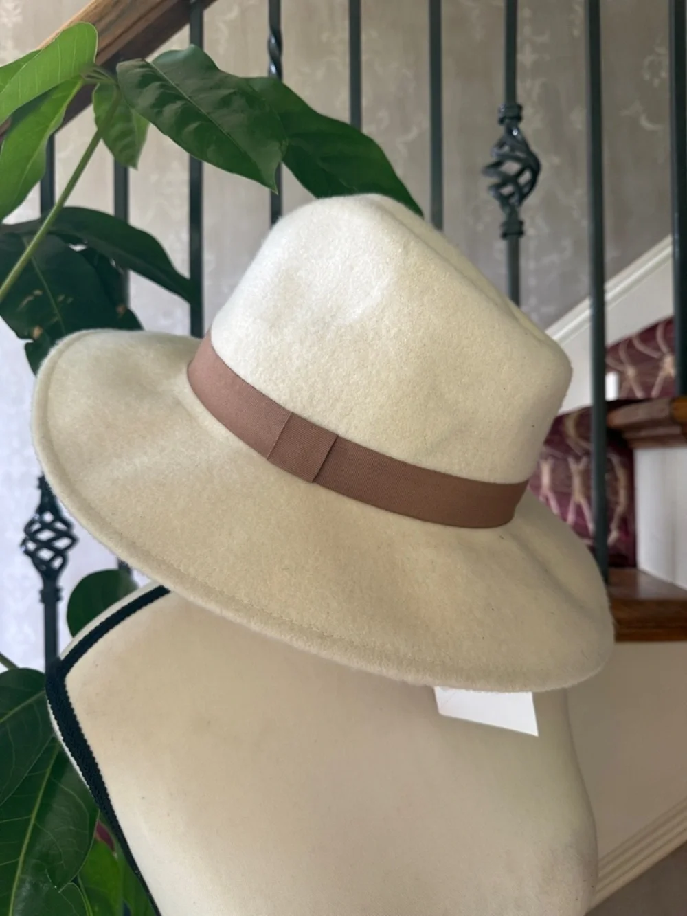ASOS classic ladies wide brim, hat with brown trim NWT cream